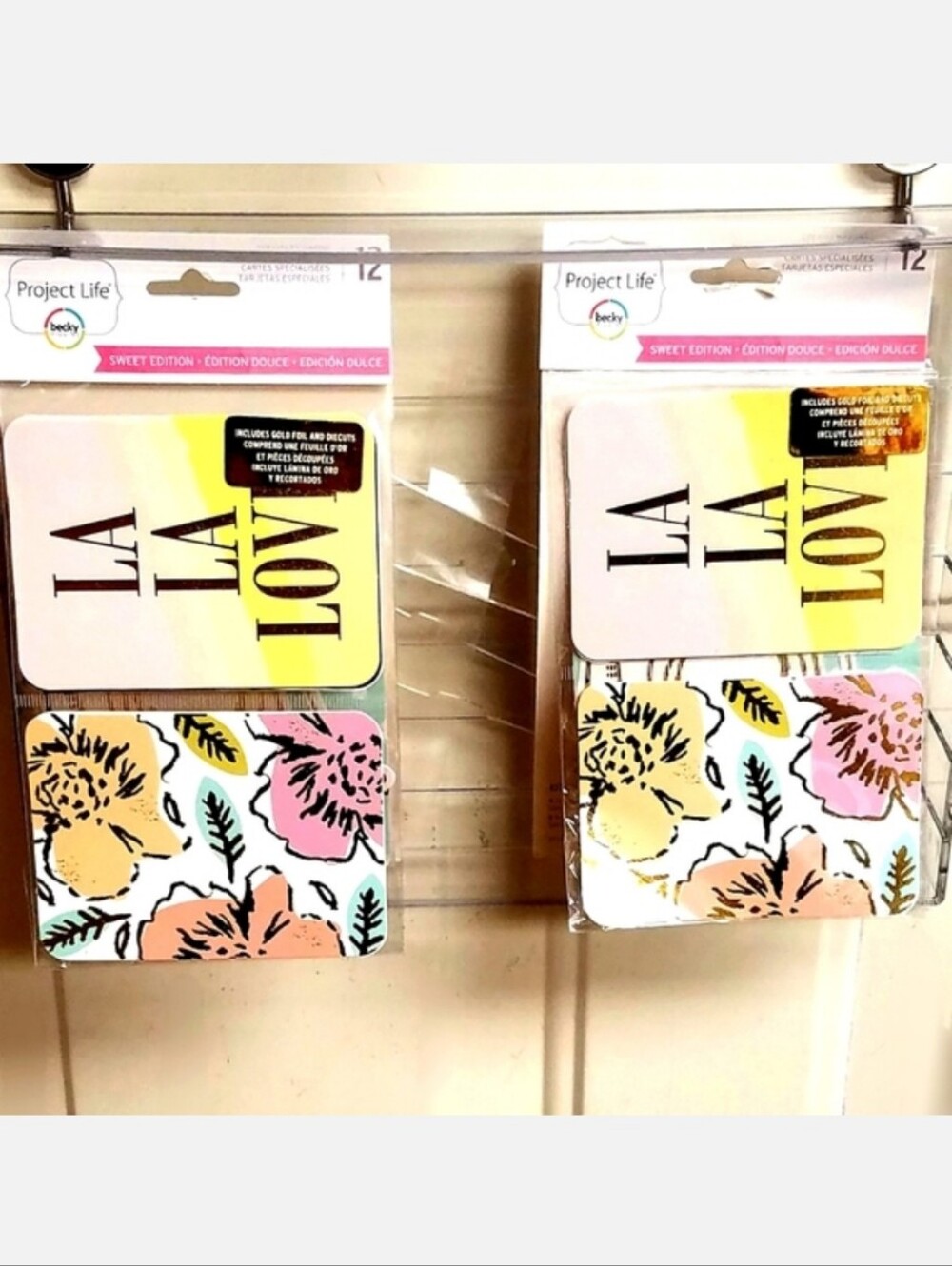 NWT Project Life SPECIALTY CARDS 12-PK ×2 SETS!